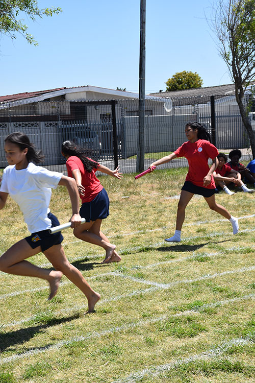 Fairbairn College, English-medium school in Goodwood, Cape Town